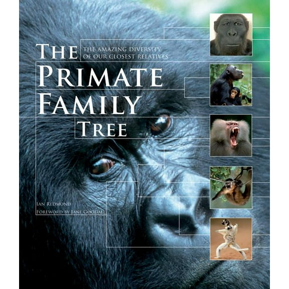 The Primate Family Tree (Paperback)