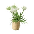 thumbnail image 3 of Runquan 2X 1/12 Fleur Miniature Bonsaï Ornement Simulation pour Décoration de Jardin Blanc 2 Pcs, 3 of 8