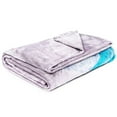 thumbnail image 3 of Disney Frozen 'Winter Frost Adventures' Kids Twin Silk Touch Blanket, 100% Polyester, 3 of 5