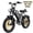 G50-Black, variant on Spacewalk 16" Fat Tire Electric Bike, 750W Motor,48V 15Ah Removable Battery,21.7 MPH Compact Ebike with Dual Suspension,UL 2849