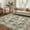 Dark Brown, variant on Nanan, 8'x10' Vintage Outdoor Rug, Vintage Medallion Pattern Non-Slip Area Rug, Washable Stain Resistant Traditional Retro Floor Carpet for Living Room Bedroom Farmhouse Decor, Dark Brown