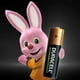 thumbnail image 3 of Pilas Recargables Duracell AA 2500mAh Paquete con 6pz Duracell, 3 of 5
