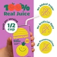 thumbnail image 3 of SunCup Juice - Fruit Punch (40 Pack) 4.23 oz Juice Box with Straw | 100% Fruit Punch Blend for Kids, Organic Ingredients, Bulk Pack for Lunches, School, or Home, 3 of 8