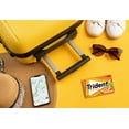 thumbnail image 6 of TRIDENT GUM TROPICAL TWIST SUGAR FREE12X14.000 PC, 6 of 6