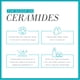 thumbnail image 2 of Esencia de agua hidratante Toner Curel Japan Skin Care, 150 ml Curél NA, 2 of 5