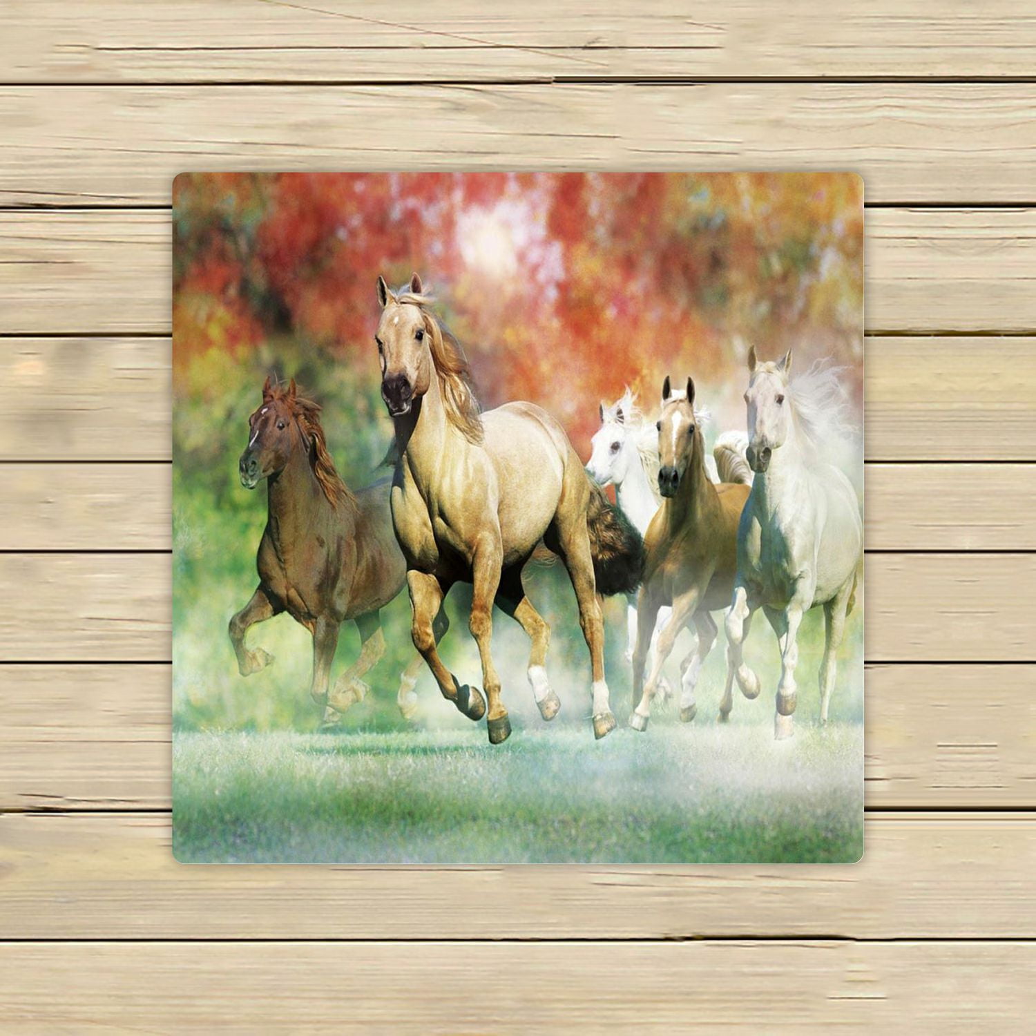 Horse hand towels hotsell