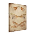 thumbnail image 2 of Trademark Fine Art 'Dragonfly Whisper 2' Canvas Art by Jean Plout, 2 of 3