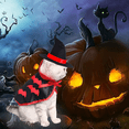 thumbnail image 4 of Disfraz de gato mago para Halloween, disfraz de mascota para cachorro de gatito para Halloween, 4 of 5