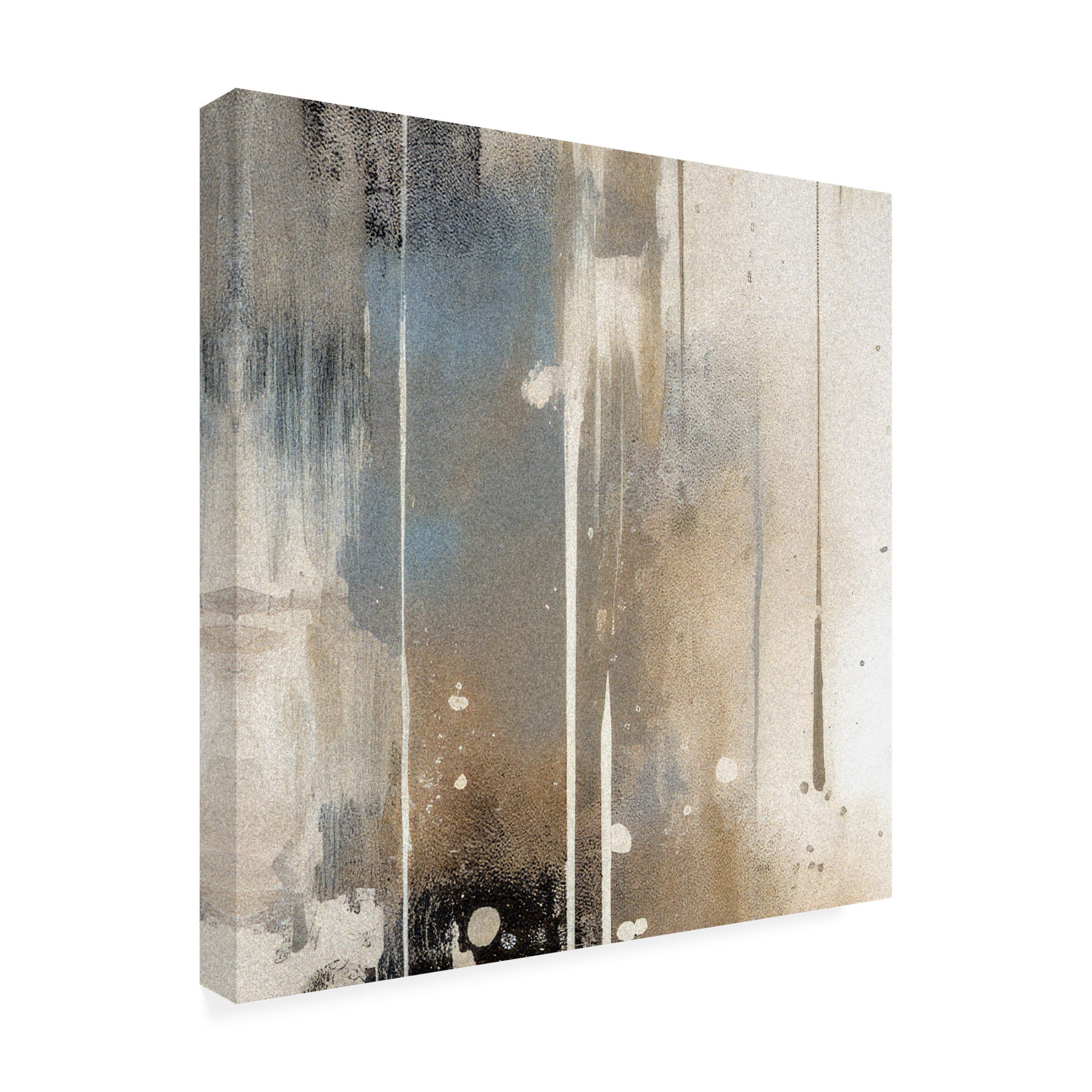 Trademark Fine Art Emel Tunaboylu  Kesit Canvas Wall Art