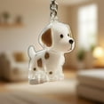 thumbnail image 3 of Dog Hair Collector Keychain Charm Memorial Storage Box, Pet Hair Memorial Keepsake, Transparent Cute Keychain, 3 of 5