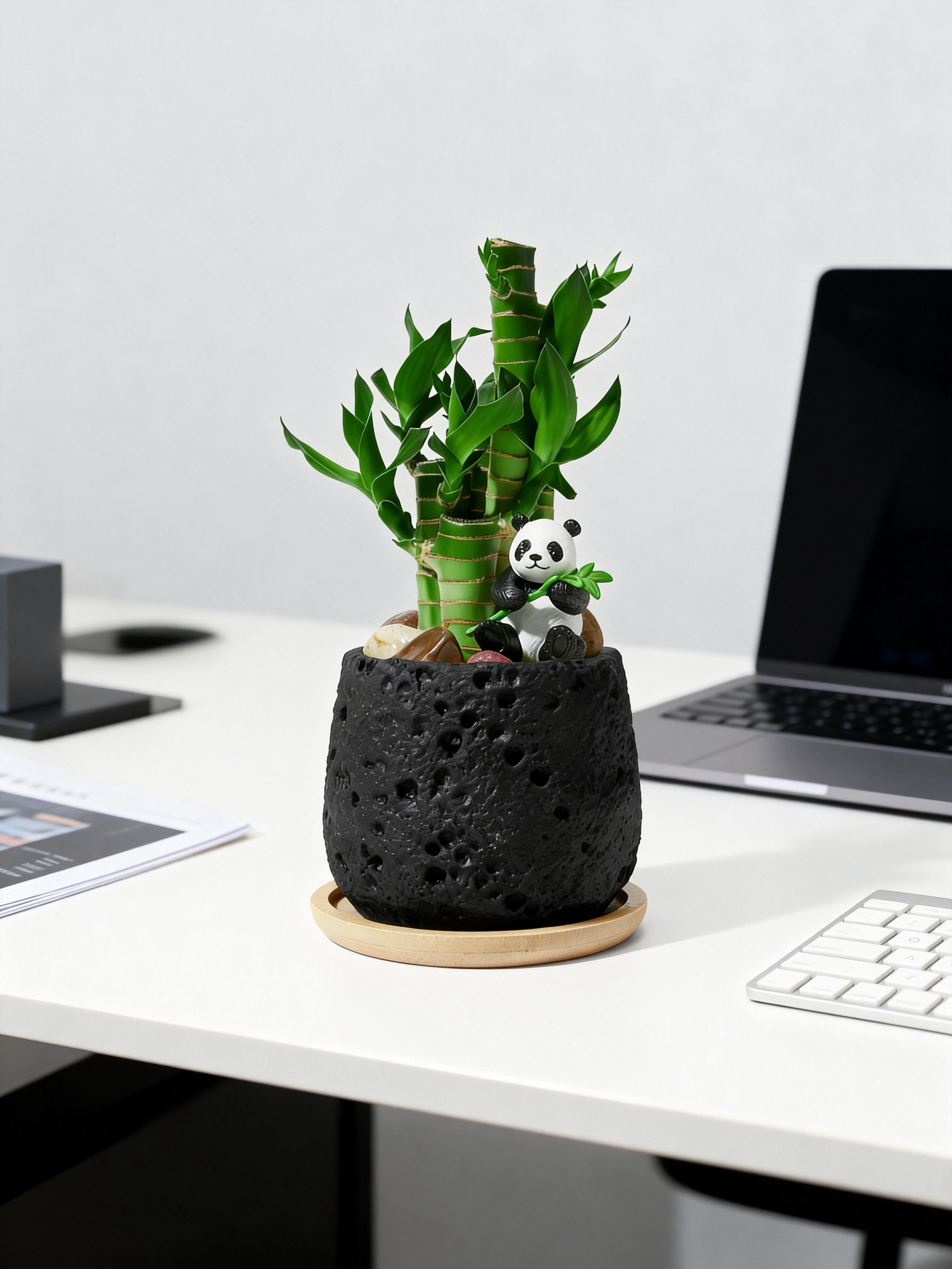 Cute Panda Lucky Bamboo Plant – 5 Stalk Feng Shui Indoor Tabletop Plant in Volcanic Rock Pot, Office & Home Decor（Black）