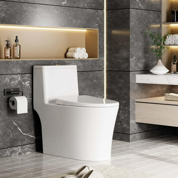EcoSummer One Piece Toilet with Soft Close Seat, Elongated Dual Flush 0.8/1.28 GPF, Comfort Height, Easy Clean