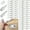 Clear, variant on NOGIS 60PCS Self-Tapping Screws Cabinet Laminate Support, Shelf Pins with Non-Slip Sleeve, Shelf Holder Steel Pin Peg Self Drilling Screws, Self-Tapping Integrated Screw（White）