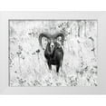 thumbnail image 1 of Merino, Nicolas 32x25 White Modern Wood Framed Museum Art Print Titled - The Stare, 1 of 4