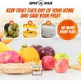 thumbnail image 2 of Super Ninja Fruit Fly Killer - 2 Pack - Environmentally Responsible Highly Effective Ecological Traps Indoor - User Friendly - Up to 3 Weeks per Bottle, 2 of 8