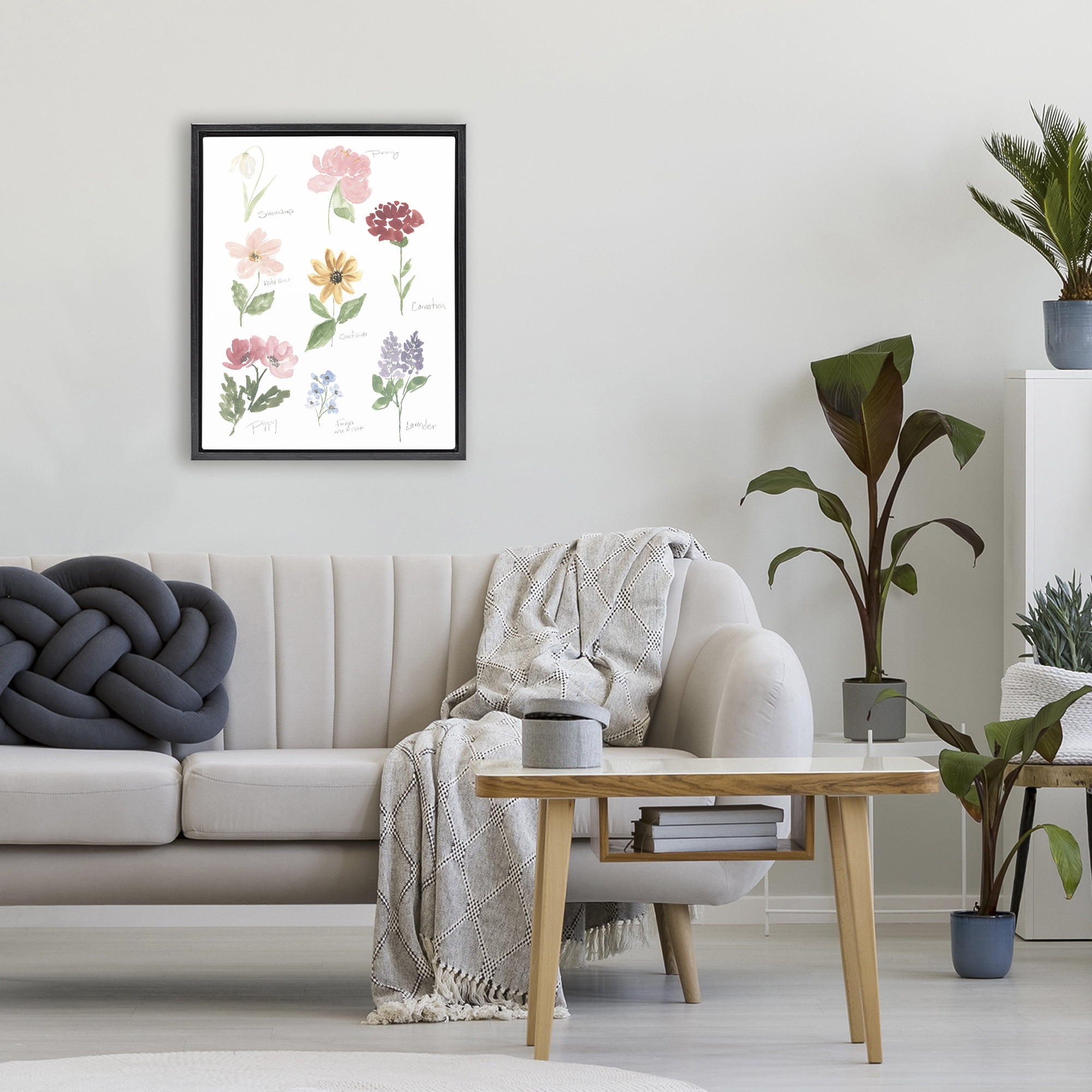 Stupell Industries Labeled Flower Varieties Black Framed Floater Canvas Wall Art, design by Lucille Price