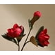 thumbnail image 1 of 1 elegante y rústico ramo de flores artificiales de magnolia/kapok - decoración for sala de estar, entrada, estudio, mesa de comedor., 1 of 2