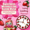 thumbnail image 5 of Bubblegum Kids Sugar-Free Gum, Healthy Xylitol, Strawberry, 1 Pack, 55 Pieces, 5 of 5
