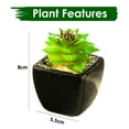 thumbnail image 2 of 4 Uds mini simulación suculentas bonsái adornos creativos flores simulación plantas verdes, 2 of 5