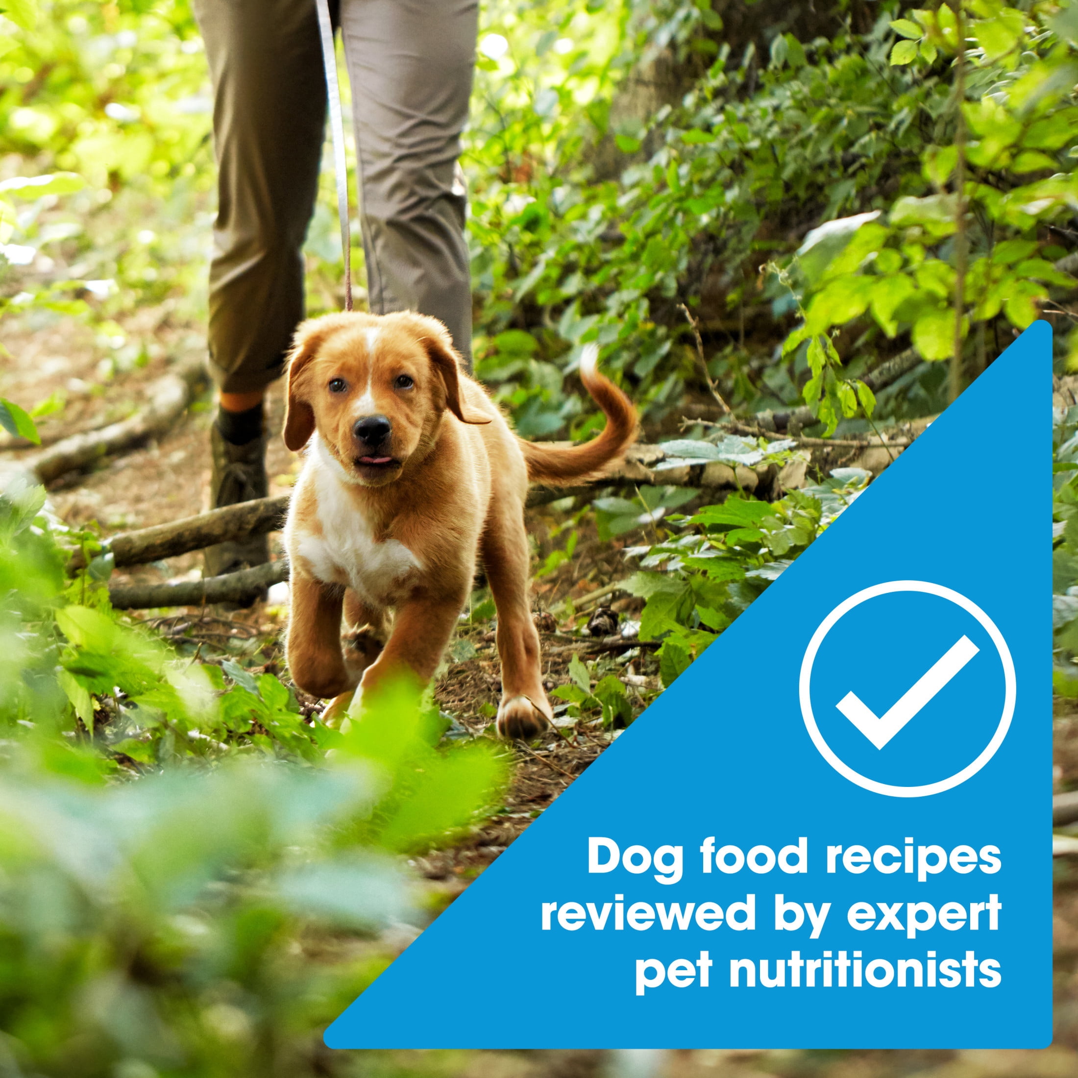 Nature's Recipe Grain Free Puppy Dry Dog Food Chicken, Sweet Potato & Pumpkin, 12 lb Bag