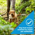 thumbnail image 6 of Nature's Recipe Grain Free Puppy Dry Dog Food Chicken, Sweet Potato & Pumpkin, 12 lb Bag, 6 of 11