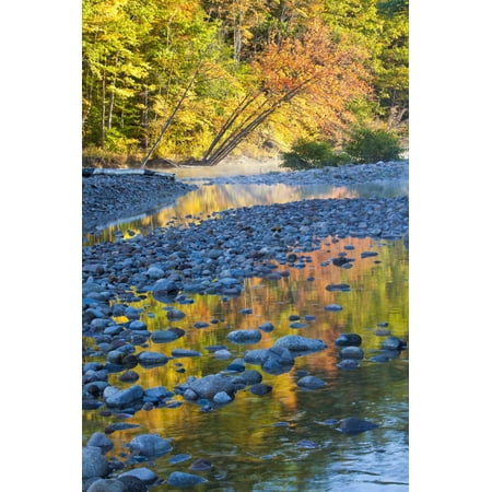 Fall Colors Reflect in the Saco River, New Hampshire. White Mountains Print Wall Art By Jerry & Marcy
