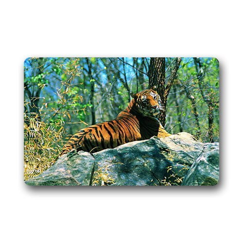 RYLABLUE Power Tiger on the Big Stone Doormat Floor Mats Rugs Outdoors/Indoor Doormat Size 23.6x15.7 inches