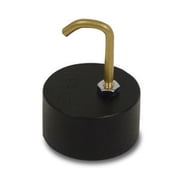 Detecto Conversion Weight