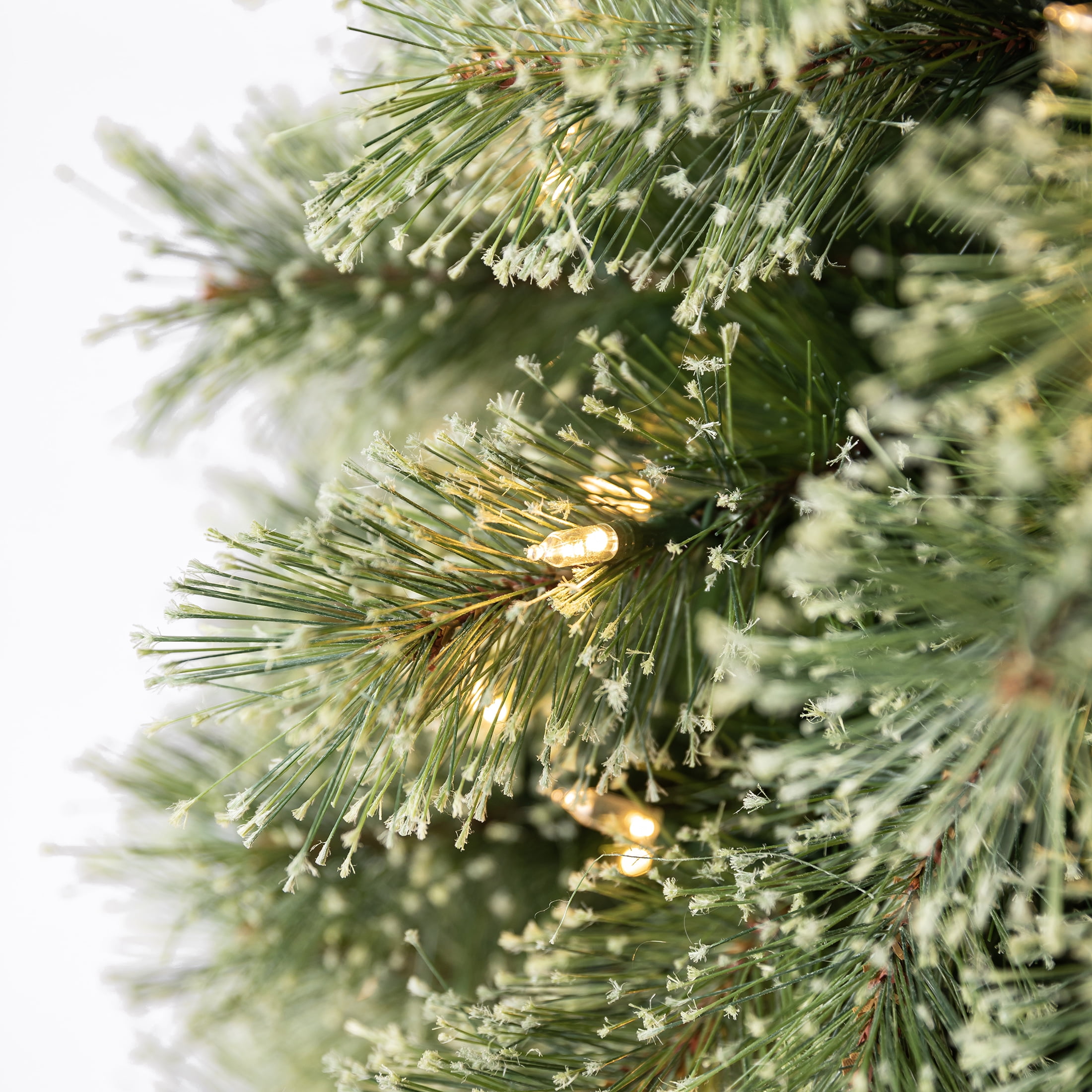 Imagen de producto 6