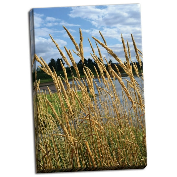 Gango Home Decor Through the Grass II by Brian Moore (Ready to Hang); One 24x36in Hand-Stretched Canvas