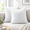 White-24x24 Inch (Pack of 2), variant on White 20x20 Inch (Pack of 2) Decorative Throw Pillow Inserts for Couch Sofa Bed Patio