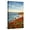 Canvas, variant on Art.com USA, California, La Jolla. Blooming aloe and Wipeout Beach Photographic Print by Ann Collins, 12" x 18"