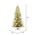 thumbnail image 2 of Vickerman 6.5' x 42" Flocked Kamas Fraser Tree, Warm White Low Voltage 3MM LED Lights., 2 of 4