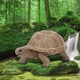 thumbnail image 4 of Modelo Animal vívido simulación elefante tortuga juguete educación temprana juguete sólido para niños, 4 of 10