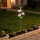 thumbnail image 5 of Luces solares de jardín al aire libre - Lámpara LED de fibra óptica de fibra óptica para colibríes • Luz decorativa para estacas para jardines • Césped y patio de pasillo, 5 of 6