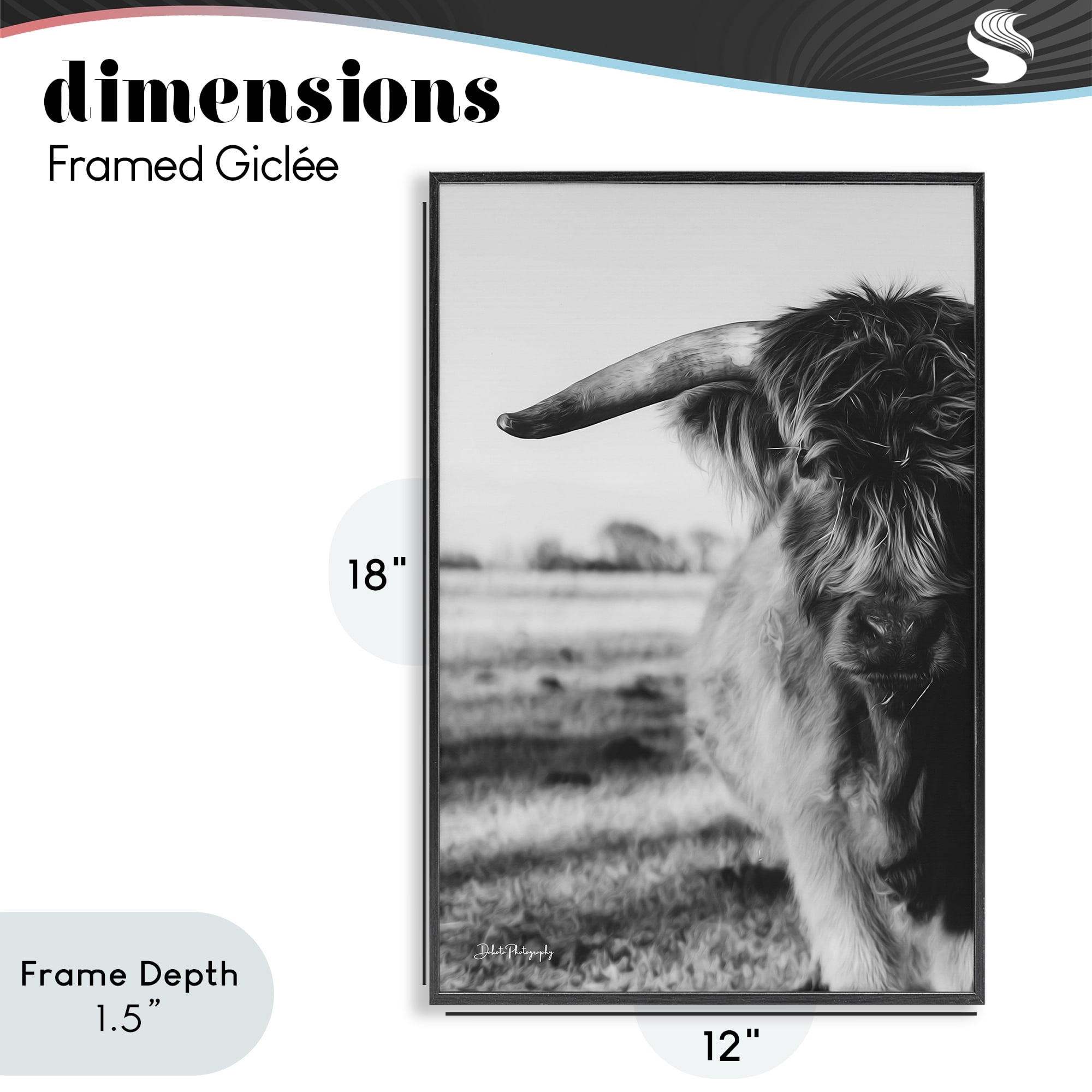 Stupell Industries Baby Cattle in Monochrome Black Framed Giclee Art, design by Dakota Diener