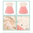 thumbnail image 3 of Emy Dola Toddler Girls Tutu Dresses Summer Short Sleeve Rainbow Tulle Party Dress for Girl 2-7 Years Easter Gift - 1 Piece Bunny, 3 of 8