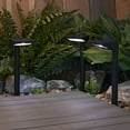 thumbnail image 4 of Sterno Home 3005900 Black Solar Powered LED Pathway Light, 4 of 4