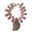 Pink, variant on Beach Themed Conch Jewelry Necklace Feature Adjustable Length Collarbone Chain for Vacation Outfits and Parties