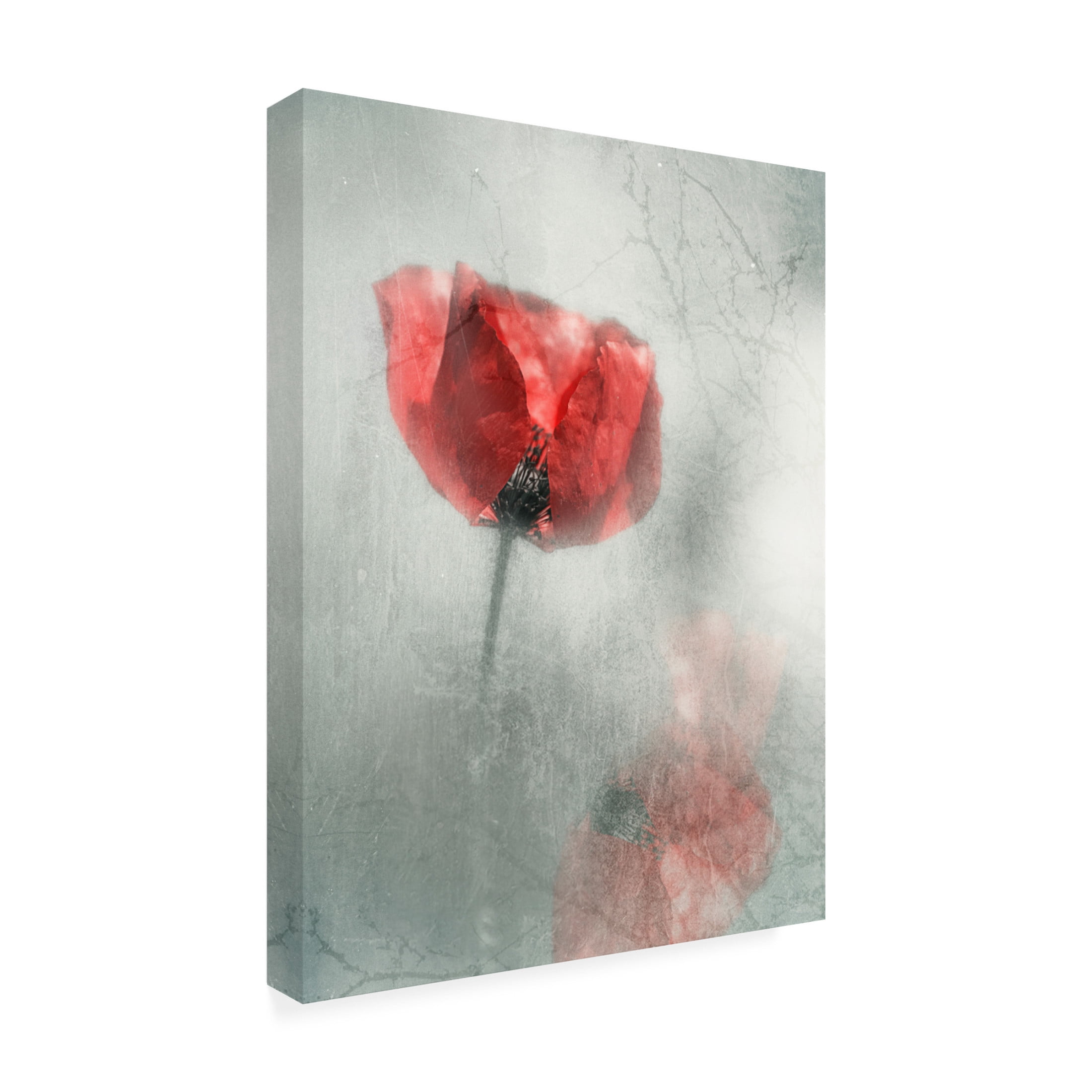 Canvas Wall Art - Desislava Ignatova 'Poppies' Wall Art for Living Room, Bedroom, or Office Décor by Trademark Fine Art - 24 x 32 Inches