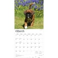 thumbnail image 3 of Boxer Puppies | 2026 12x24" (Hanging) Wall Calendar | Plastic-Free | BrownTrout, 3 of 9
