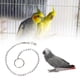 thumbnail image 4 of Arnés de entrenamiento para pájaros, acero inoxidable, cadena para pies de pájaros, verdadera excelencia, 4 of 8