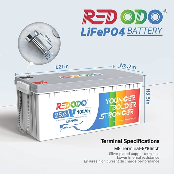 Redodo 24V 100Ah LiFePO4 Lithium Battery, 100A BMS, 4000+ Cycle Times for  Trolling Motor, RV/Camper, Solar, Off-Grid, Boat, Marine 