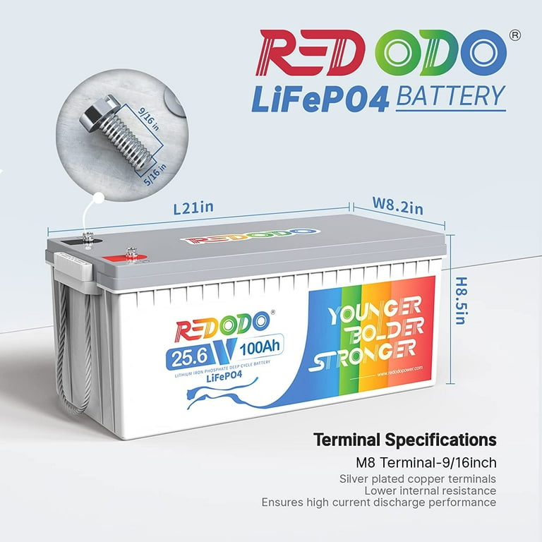 Redodo 24V 100Ah LiFePO4 Lithium Battery Max. 2560W Power Output Built in  100A BMS for RV, Trolling Motor, Solar off-Grid System, Marine 