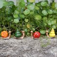 thumbnail image 4 of 4 Uds microadorno para paisajismo suministros de jardín de hadas figuritas de caracol en miniatura, 4 of 8