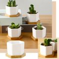 thumbnail image 1 of MesaSe Hexagonal Succulent Planter With Tray White Mini Ceramic Planter, 1 of 6