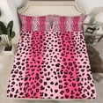 thumbnail image 2 of Castle Fairy Cheetah Print Girl 3pcs Twin Sheet Sets,Black Pink Twin Fitted Sheet,Abstract Gradient Breathable Flat Sheet,Super Cozy Room Decor, 2 of 7