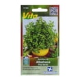 thumbnail image 1 of Semillas Vita Albahaca Fina Verde 0.7 g, 1 of 3