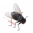 thumbnail image 4 of Refrigerator Sticker Black Small Fridge Magnets Strong Magnets Simulation Fly Fridge Magnet for Home, 4 of 6