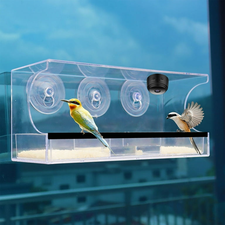 Daiosportswear Clearance Window Bird Feeders with Strong Suction Cups, Clear  Window Bird Feeder for Outside -Transparent Bird House, Balcony Glass  Mount, Acrylic ,High Definition Camera 